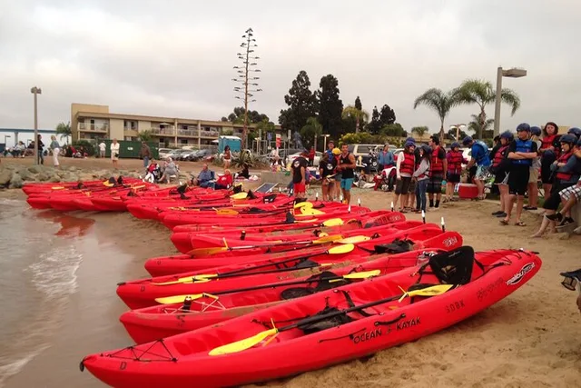 San Diego Bay Guided Kayak Tour in Coronado 1.5 hr - Image 3