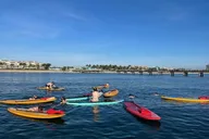 Lauderdale-by-the-Sea Snorkel Reef Trails 90 Min thumbnail 6