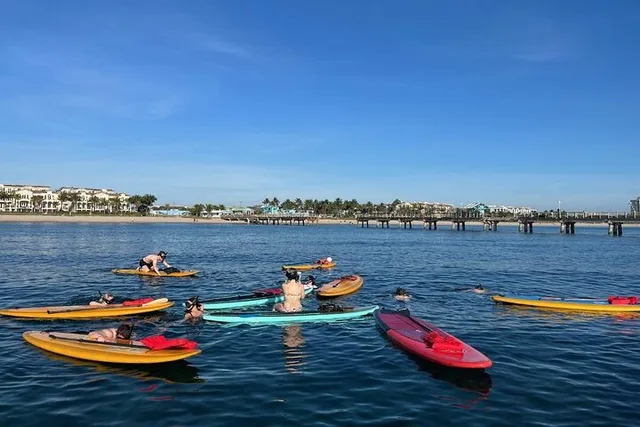 Lauderdale-by-the-Sea Snorkel Reef Trails 90 Min - Image 6