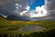 Kauai Eastside Waterfalls and Local Grinds Tour thumbnail 3