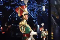 Brooklyn Dyker Heights Christmas Lights Tour thumbnail 3