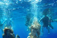 Lahaina Snorkeling and Sailing Day Trip thumbnail 3