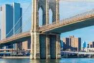 New York City Car Tour with Liberty Island thumbnail 6