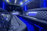 Charleston Party Bus Transportation thumbnail 1