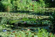 New Orleans Museum of Art Private Guided Tour thumbnail 4