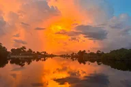 Ten Thousand Islands Sunset Eco Tour thumbnail 5
