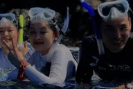 Maui Night Snorkel at Turtle Town thumbnail 5