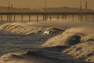 Venice Beach Walking Tour of the Canals thumbnail 2