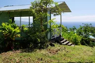 Hawaii Hala Tree Coffee Farm Tour 1 hr thumbnail 2
