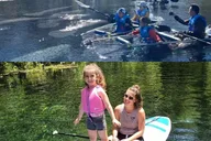 Silver Springs Clear Kayak Wildlife Adventure thumbnail 4