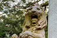 Savannah Historic District Tour thumbnail 5