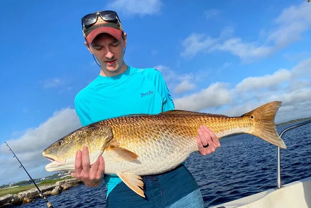 Panama City Beach Fishing and Shelling Tour - Image 5