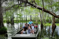 New Orleans Go City Pass with 25+ Attractions thumbnail 2