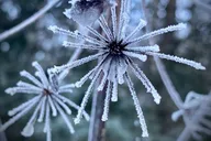 Anchorage Winter Valley and Forest Hike thumbnail 5