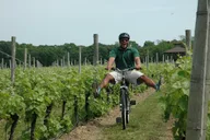 Mattituck Wine Country Bike Tour thumbnail 3
