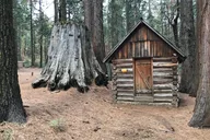 Yosemite Off-Road Giant Sequoia 4x4 Tour thumbnail 4