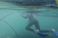 La Jolla Kayak and Snorkel Tour 2.5 hr thumbnail 5