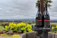 Woodinville Winery Pass thumbnail 6