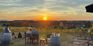 Traverse City Wine Tour at Sunset 4 hr