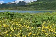 Anchorage City and Surroundings Tour 3 hr thumbnail 5