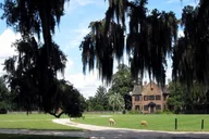 Charleston Middleton Place Historic Tour thumbnail 5