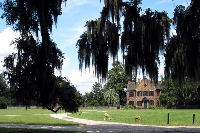 Charleston Middleton Place Historic Tour - Image 5