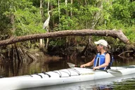 Amelia Island Kayak Rental on Lofton Creek thumbnail 1