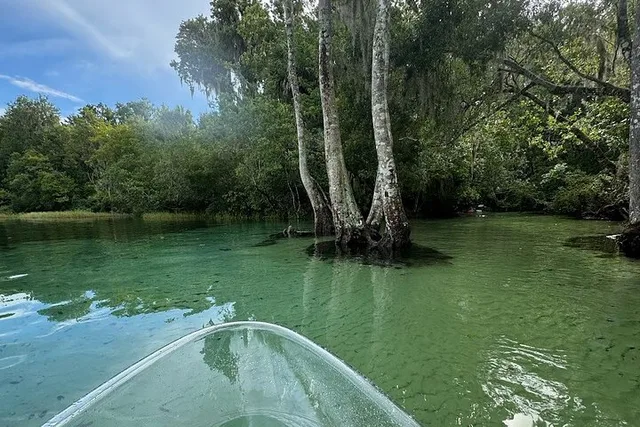Dunnellon Clear Kayak Rentals on Rainbow River - Image 4