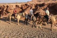 Las Vegas Horseback Riding with Breakfast 2 hr thumbnail 3