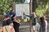 Los Angeles Griffith Observatory Hike thumbnail 3