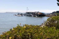 San Francisco Muir Woods and Sausalito Tour thumbnail 1