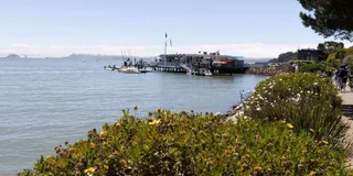 San Francisco Muir Woods and Sausalito Tour 5 hr