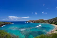 Oahu Circle Island Tour Customizable 8 Hr thumbnail 5