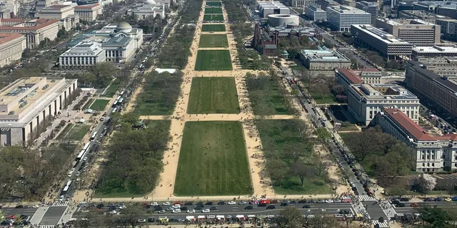 Washington DC Monument Direct Entry Tour - Image 4