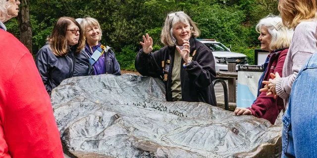 San Francisco City Tour with Muir Woods and Sausalito - Image 1