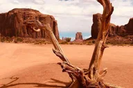 Monument Valley Cultural and Sunrise Tour 3 hr thumbnail 4