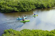 Venice Kayak Tour thumbnail 1