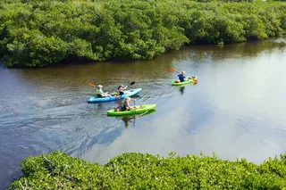 Venice Kayak Tour