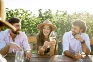 Atlanta Vineyards and Wines Private Tour thumbnail 2