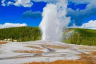 Yellowstone Lower Loop Day Trip from Jackson thumbnail 2