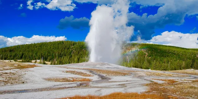 Yellowstone Lower Loop Day Trip from Jackson - Image 2