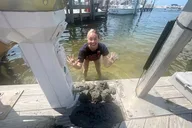 Wrightsville Beach Scavenger Hunt thumbnail 3
