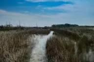 Destin Clear Kayak Eco Tour with Island Stops 2 hr thumbnail 3