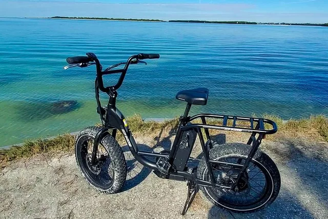 Fort De Soto Electric Bike Wildlife & History Tour - Image 6