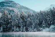 Fairbanks Northern Lights and Chena Hot Springs Tour thumbnail 5