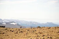 Anchorage Flattop Mountain Guided Hike with Pickup thumbnail 4