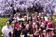 Temecula Wine Tour with Lunch thumbnail 3