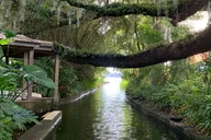 Winter Park Walking and Boat Tour thumbnail 4