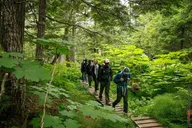 Haines Mount Riley Hike thumbnail 5
