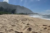 Oahu Film Locations Private Tour thumbnail 4